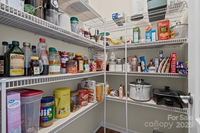 Martin Ray - you won't want to miss seeing this meticulously on Regent Park Golf Club in South Carolina - for sale on GolfHomes.com, golf home, golf lot