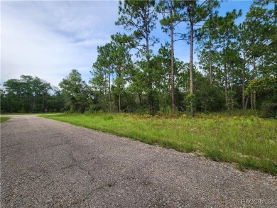 This is THE ONE!!! This homesite sits just off one of main drag on Citrus Springs Country Club in Florida - for sale on GolfHomes.com, golf home, golf lot