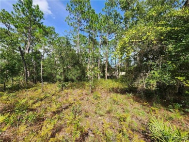 This is THE ONE!!! This homesite sits just off one of main drag on Citrus Springs Country Club in Florida - for sale on GolfHomes.com, golf home, golf lot