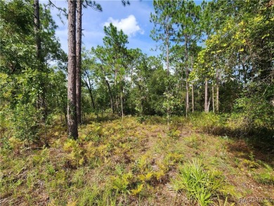 This is THE ONE!!! This homesite sits just off one of main drag on Citrus Springs Country Club in Florida - for sale on GolfHomes.com, golf home, golf lot