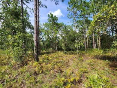 This is THE ONE!!! This homesite sits just off one of main drag on Citrus Springs Country Club in Florida - for sale on GolfHomes.com, golf home, golf lot