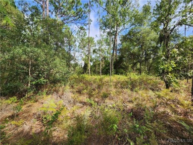 This is THE ONE!!! This homesite sits just off one of main drag on Citrus Springs Country Club in Florida - for sale on GolfHomes.com, golf home, golf lot