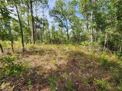 This is THE ONE!!! This homesite sits just off one of main drag on Citrus Springs Country Club in Florida - for sale on GolfHomes.com, golf home, golf lot