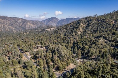 OWNER MAY CONSIDER CARRYING PAPER. Welcome to the four-season on Pine Mountain Club in California - for sale on GolfHomes.com, golf home, golf lot