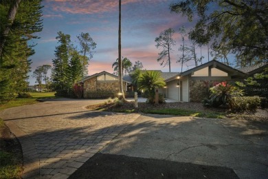 SUBSTANTIAL PRICE REDUCTION!!!  GOLF CART included in sale! on Saddlebrook Golf and Country Club in Florida - for sale on GolfHomes.com, golf home, golf lot