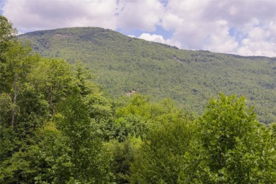 Excellent opportunity to build your home in this popular on Sapphire National Golf Club in North Carolina - for sale on GolfHomes.com, golf home, golf lot