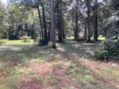 Build your perfect custom home on a wooded lot that is just on Sapelo Hammock Golf Club in Georgia - for sale on GolfHomes.com, golf home, golf lot