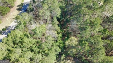 Discover the perfect canvas for your dream home on this on The Frog Golf Club in Georgia - for sale on GolfHomes.com, golf home, golf lot