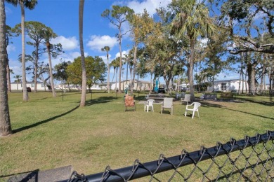 Welcome to Port Charlotte Village - 2024's #1 Voted 55+ on Kings Gate Golf Club in Florida - for sale on GolfHomes.com, golf home, golf lot
