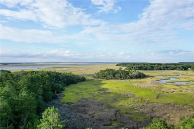 Gorgeous .778-acre lot w/171 ft of pristine marsh front offers on Sapelo Hammock Golf Club in Georgia - for sale on GolfHomes.com, golf home, golf lot