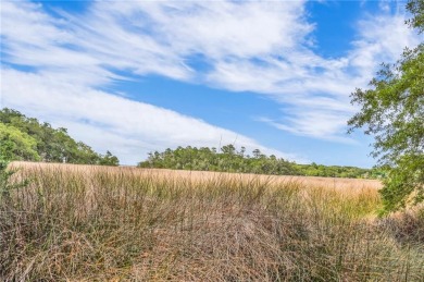 Gorgeous .778-acre lot w/171 ft of pristine marsh front offers on Sapelo Hammock Golf Club in Georgia - for sale on GolfHomes.com, golf home, golf lot