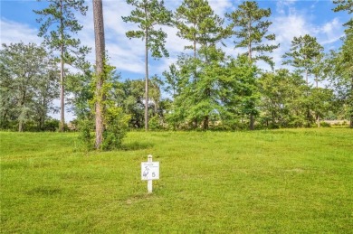 Gorgeous .778-acre lot w/171 ft of pristine marsh front offers on Sapelo Hammock Golf Club in Georgia - for sale on GolfHomes.com, golf home, golf lot