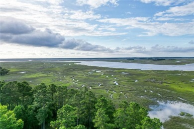 Gorgeous .778-acre lot w/171 ft of pristine marsh front offers on Sapelo Hammock Golf Club in Georgia - for sale on GolfHomes.com, golf home, golf lot