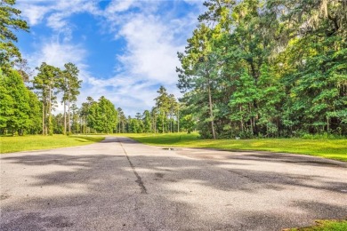 Gorgeous .778-acre lot w/171 ft of pristine marsh front offers on Sapelo Hammock Golf Club in Georgia - for sale on GolfHomes.com, golf home, golf lot