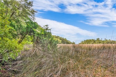 Gorgeous .706-acre lot w/109 ft of pristine marsh front offers on Sapelo Hammock Golf Club in Georgia - for sale on GolfHomes.com, golf home, golf lot