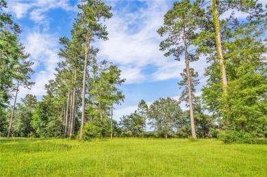 Gorgeous .706-acre lot w/109 ft of pristine marsh front offers on Sapelo Hammock Golf Club in Georgia - for sale on GolfHomes.com, golf home, golf lot
