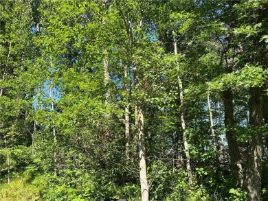 VERY MOTIVATED SELLERS! Heavily wooded lot with great location on Breezy Point Golf Course Resort in Minnesota - for sale on GolfHomes.com, golf home, golf lot
