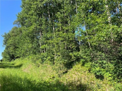 VERY MOTIVATED SELLERS! Heavily wooded lot with great location on Breezy Point Golf Course Resort in Minnesota - for sale on GolfHomes.com, golf home, golf lot