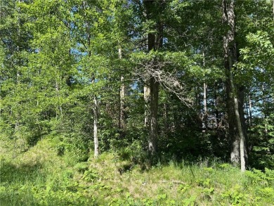 VERY MOTIVATED SELLERS! Heavily wooded lot with great location on Breezy Point Golf Course Resort in Minnesota - for sale on GolfHomes.com, golf home, golf lot