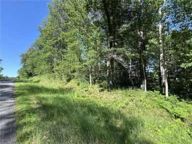 VERY MOTIVATED SELLERS! Heavily wooded lot with great location on Breezy Point Golf Course Resort in Minnesota - for sale on GolfHomes.com, golf home, golf lot