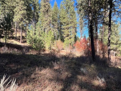 Best lot available in MeadowCreek Subdivision! You must see this on Meadowcreek Golf Resort in Idaho - for sale on GolfHomes.com, golf home, golf lot