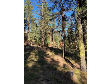 Best lot available in MeadowCreek Subdivision! You must see this on Meadowcreek Golf Resort in Idaho - for sale on GolfHomes.com, golf home, golf lot