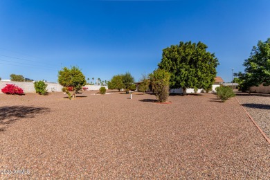 Beautifully renovated Sun City home on an oversized lot! This on PalmBrook Country Club in Arizona - for sale on GolfHomes.com, golf home, golf lot