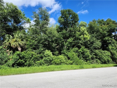 100x125 Lot in the Growing Citrus Springs Community**  This on Citrus Springs Country Club in Florida - for sale on GolfHomes.com, golf home, golf lot