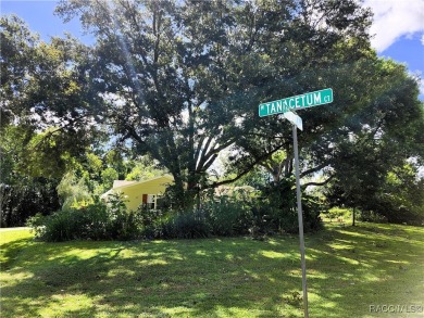 100x125 Lot in the Growing Citrus Springs Community**  This on Citrus Springs Country Club in Florida - for sale on GolfHomes.com, golf home, golf lot