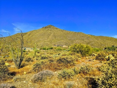 Elevated private 2.77 Acre homesite in Desert Mountain's on Desert Mountain Golf Club - Renegade Course in Arizona - for sale on GolfHomes.com, golf home, golf lot