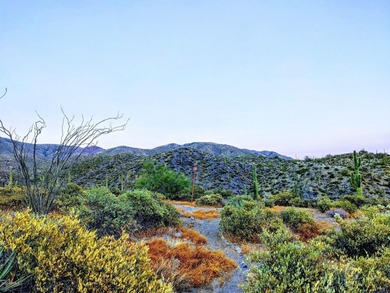 Elevated private 2.77 Acre homesite in Desert Mountain's on Desert Mountain Golf Club - Renegade Course in Arizona - for sale on GolfHomes.com, golf home, golf lot