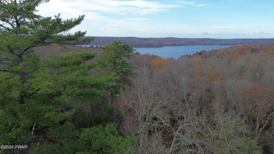 ON THE GREEN! Your dream golf course home in Paupack Hills on Paupack Hills Golf and Country Club in Pennsylvania - for sale on GolfHomes.com, golf home, golf lot