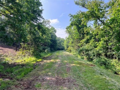Don't miss this rare opportunity to own 6 adjoining on Terre Du Lac Golf and Country Club in Missouri - for sale on GolfHomes.com, golf home, golf lot