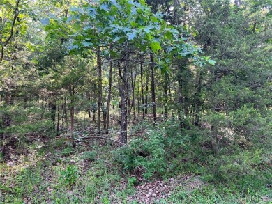 Don't miss this rare opportunity to own 6 adjoining on Terre Du Lac Golf and Country Club in Missouri - for sale on GolfHomes.com, golf home, golf lot