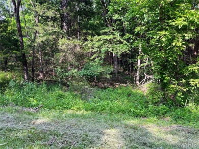 Don't miss this rare opportunity to own 6 adjoining on Terre Du Lac Golf and Country Club in Missouri - for sale on GolfHomes.com, golf home, golf lot
