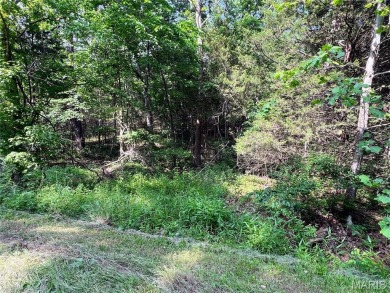 Don't miss this rare opportunity to own 6 adjoining on Terre Du Lac Golf and Country Club in Missouri - for sale on GolfHomes.com, golf home, golf lot