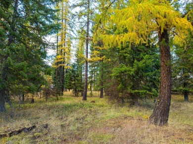 Lot 3 is located on Cabinet Heights Road in Libby, MT. It is on Cabinet View Country Club in Montana - for sale on GolfHomes.com, golf home, golf lot