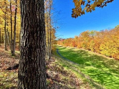Private northern MI retreat! Renovated 1,428 sq ft chalet on 2 on The Loon Golf Resort in Michigan - for sale on GolfHomes.com, golf home, golf lot