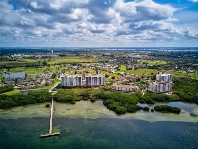 Experience the ultimate Florida resort lifestyle in this on Terra Ceia Golf and Country Club in Florida - for sale on GolfHomes.com, golf home, golf lot
