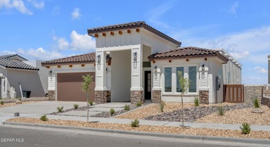 Brand-new construction located in the highly desirable Emerald on Emerald Springs Golf Course in Texas - for sale on GolfHomes.com, golf home, golf lot