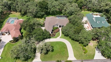 This magnificent 6-bedroom, 2.5-bath pool home with a den is an on Skyview At Terra Vista Golf and Country Club in Florida - for sale on GolfHomes.com, golf home, golf lot