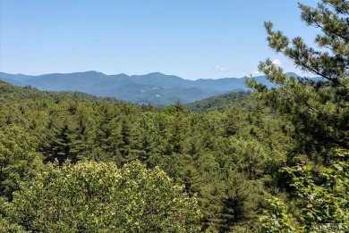 Picture your future home, positioned at 3,800 feet in elevation on Natures Walk At Chinquapin in North Carolina - for sale on GolfHomes.com, golf home, golf lot