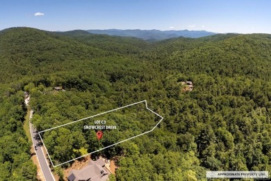 Picture your future home, positioned at 3,800 feet in elevation on Natures Walk At Chinquapin in North Carolina - for sale on GolfHomes.com, golf home, golf lot