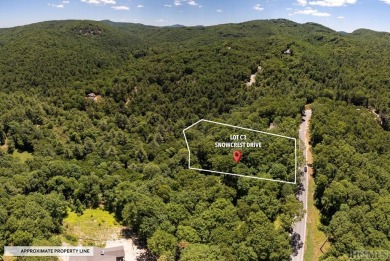 Picture your future home, positioned at 3,800 feet in elevation on Natures Walk At Chinquapin in North Carolina - for sale on GolfHomes.com, golf home, golf lot