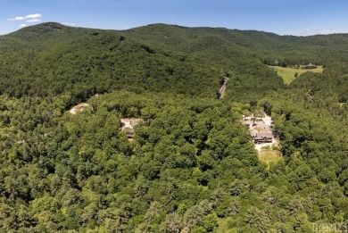 Picture your future home, positioned at 3,800 feet in elevation on Natures Walk At Chinquapin in North Carolina - for sale on GolfHomes.com, golf home, golf lot