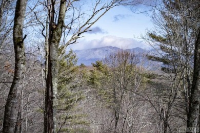 Picture your future home, positioned at 3,800 feet in elevation on Natures Walk At Chinquapin in North Carolina - for sale on GolfHomes.com, golf home, golf lot