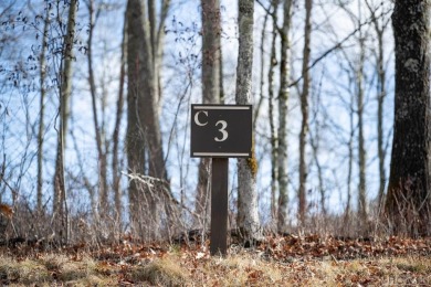 Picture your future home, positioned at 3,800 feet in elevation on Natures Walk At Chinquapin in North Carolina - for sale on GolfHomes.com, golf home, golf lot