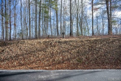 Picture your future home, positioned at 3,800 feet in elevation on Natures Walk At Chinquapin in North Carolina - for sale on GolfHomes.com, golf home, golf lot