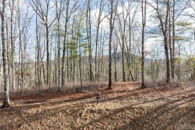 Picture your future home, positioned at 3,800 feet in elevation on Natures Walk At Chinquapin in North Carolina - for sale on GolfHomes.com, golf home, golf lot