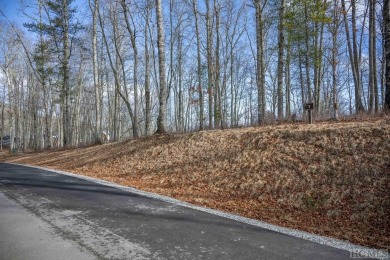 Picture your future home, positioned at 3,800 feet in elevation on Natures Walk At Chinquapin in North Carolina - for sale on GolfHomes.com, golf home, golf lot